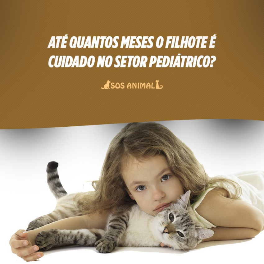 Até quantos meses o filhote é cuidado no setor pediátrico?