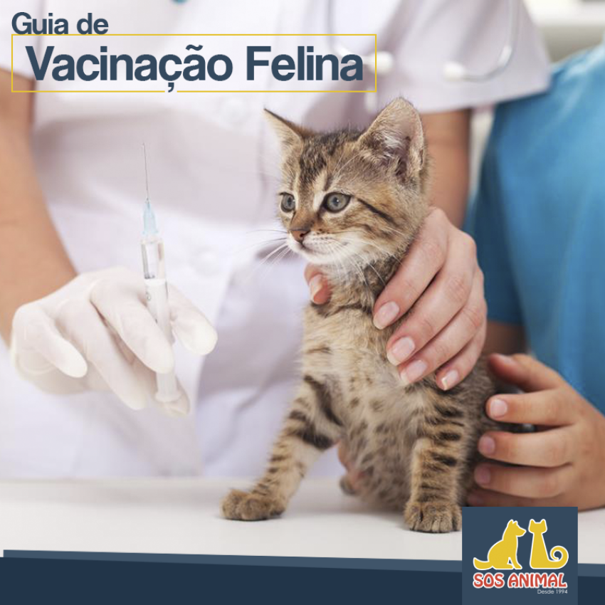 Guia de Vacinação Felina